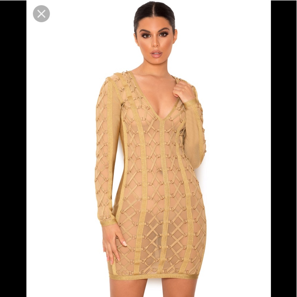 Golden latex and mesh dress